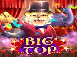 Big Top game thumbnail